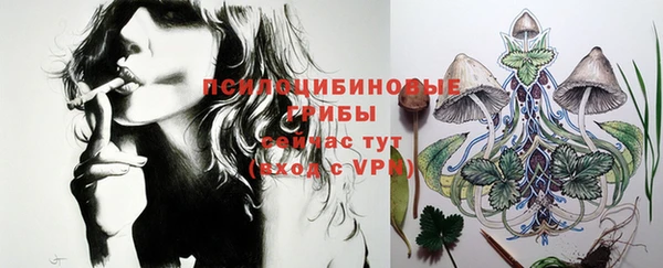 меф Мегион
