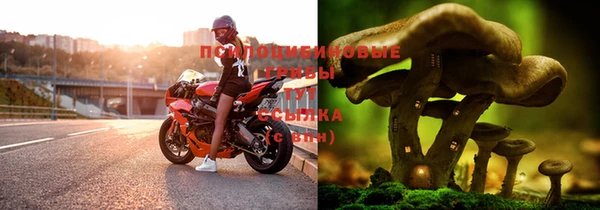 бутик Магас