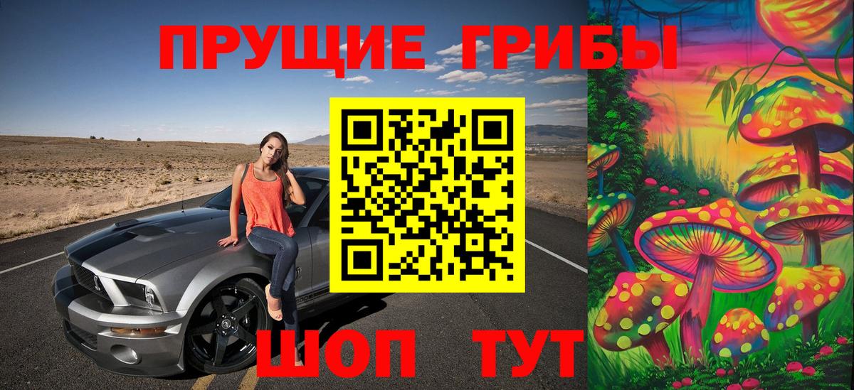 Галлюциногенные грибы мухоморы Курчалой